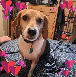 Meet your Posher, Ann